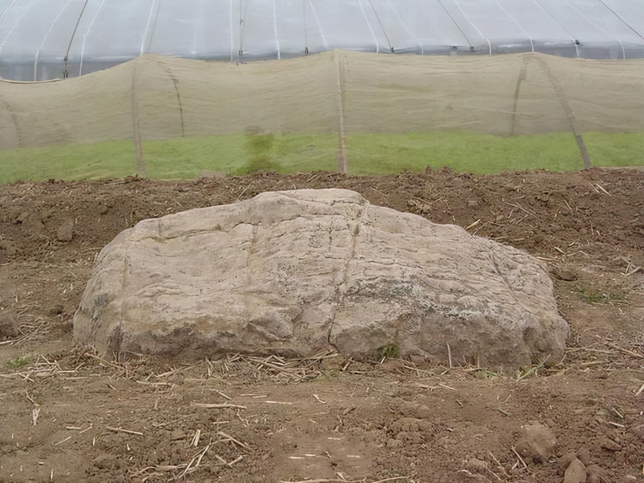 平地海拔最矮的山,海拔最矮的山在哪里
