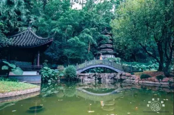 深圳遛娃必去的50个主题公园,深圳亲子游十佳去处免费