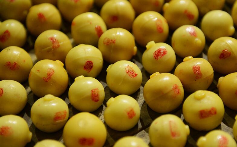 老中医陈李济补气血养生汤,中药陈李济是大品牌吗