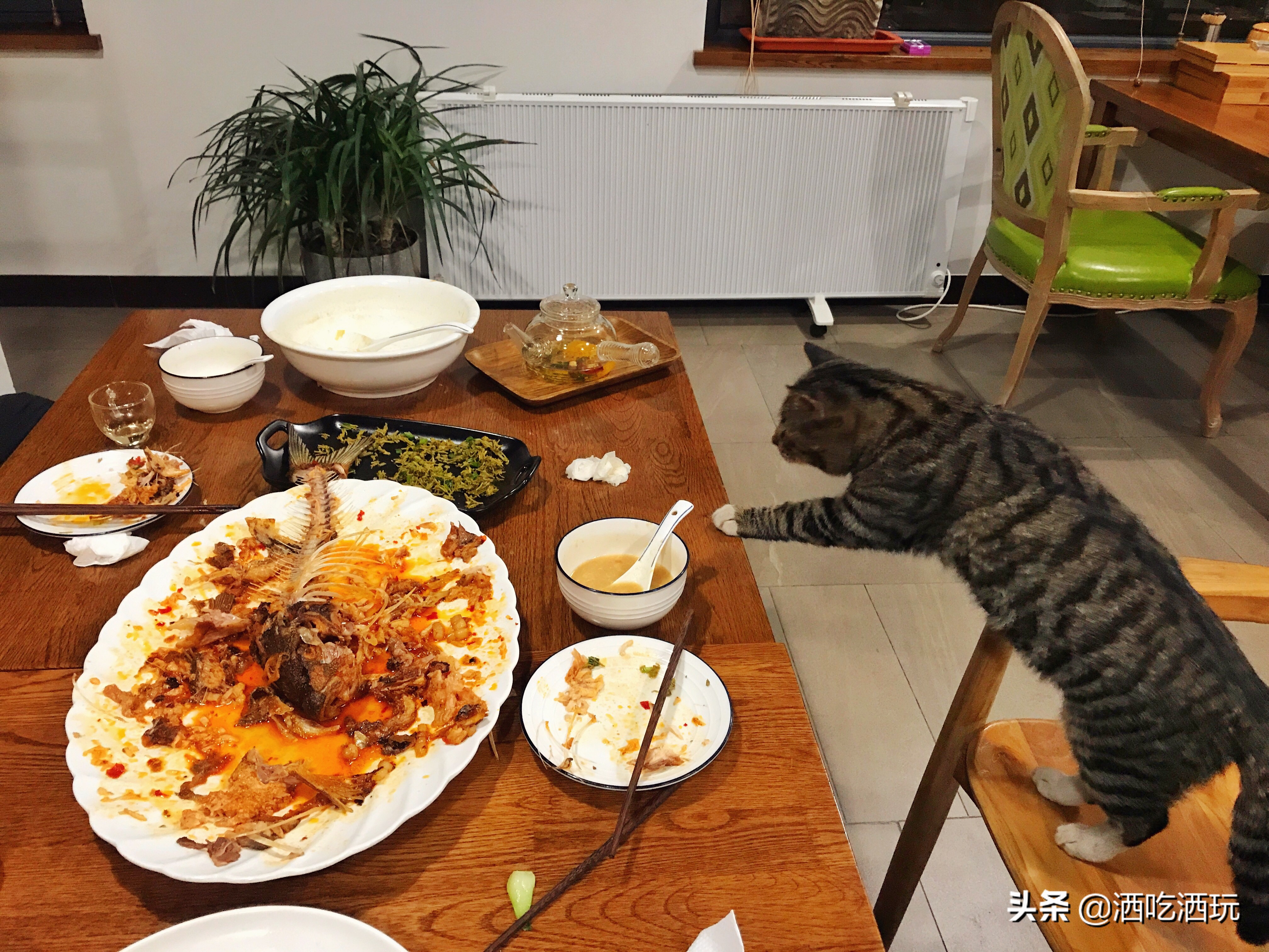 北京周边哪里亲子温泉好,北京亲子温泉游