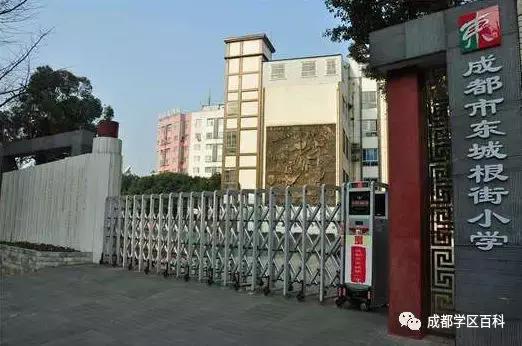 东城根街小学和龙王庙小学怎么选,成都排名前十的小学学区