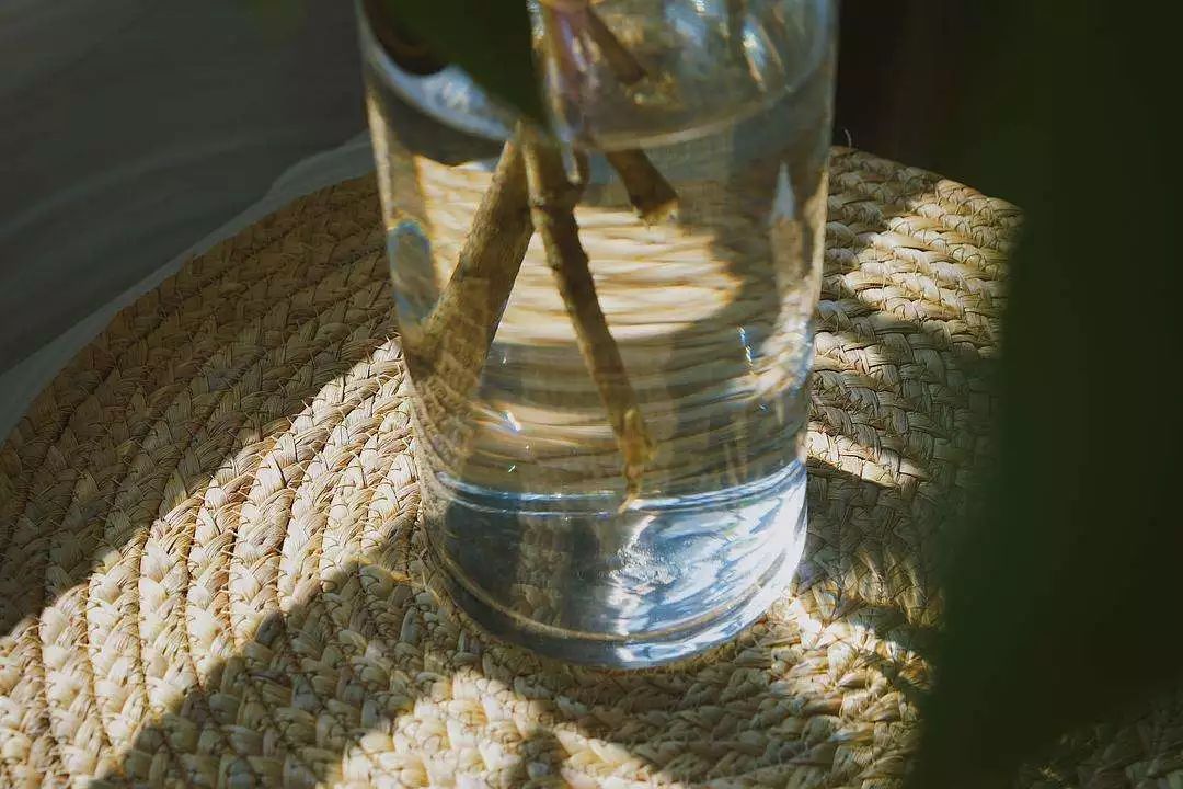 花港一楼茶楼,花港早茶