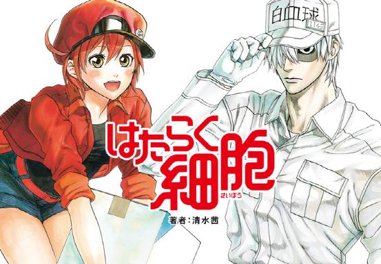 旷野之息通关了玩什么游戏,塞尔达旷野之息2是什么样的游戏