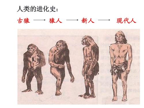 演化是关于物种起源的理论,人类起源学说达尔文的进化论