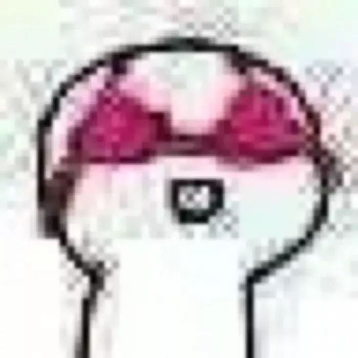 猪年限定款有哪些品牌,猪年限定哪款最值得购买