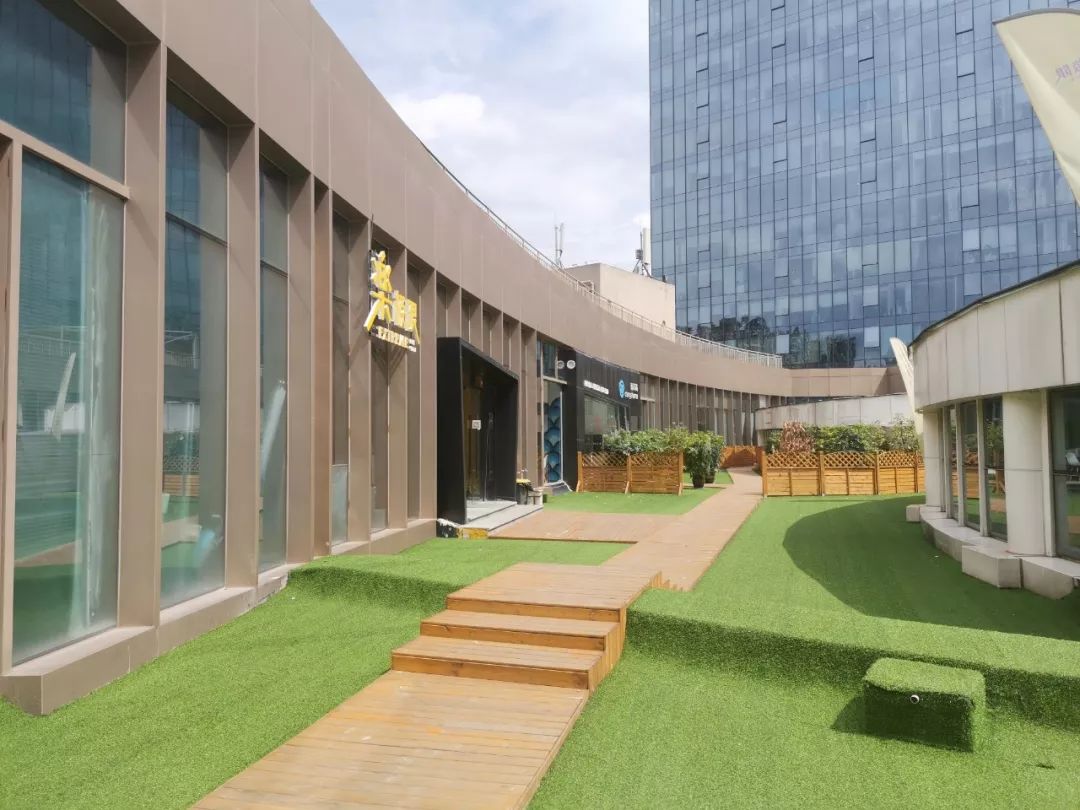 实体店最贵的平衡车 (实体店的平衡车好吗)