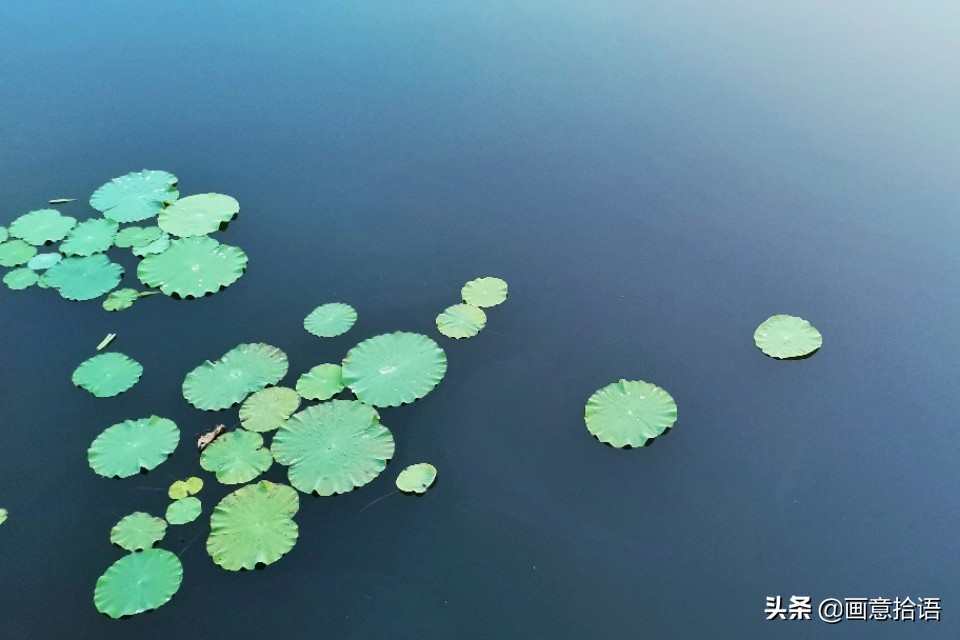 诗词鉴赏｜亭廊秀色觅荷香，月夜苍穹映碧光