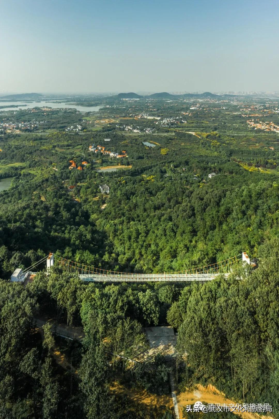 蔡甸区游玩,蔡甸在哪里