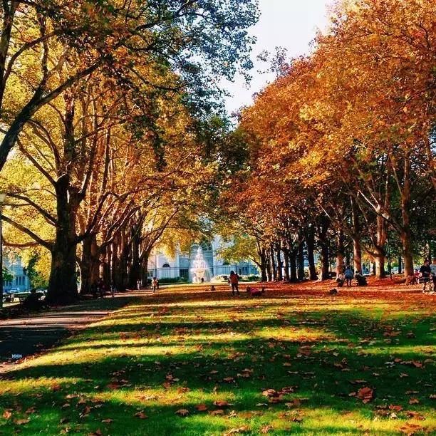 恭喜在最美四月捡了一个小时!夏令时将结束!和中国时差变2小时