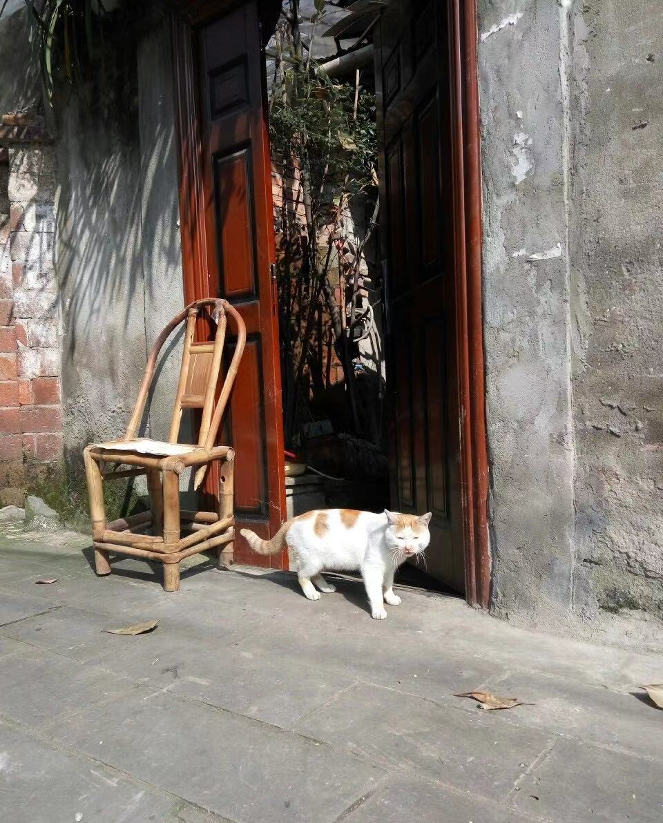 都江堰文旅城规划,都江堰新文旅