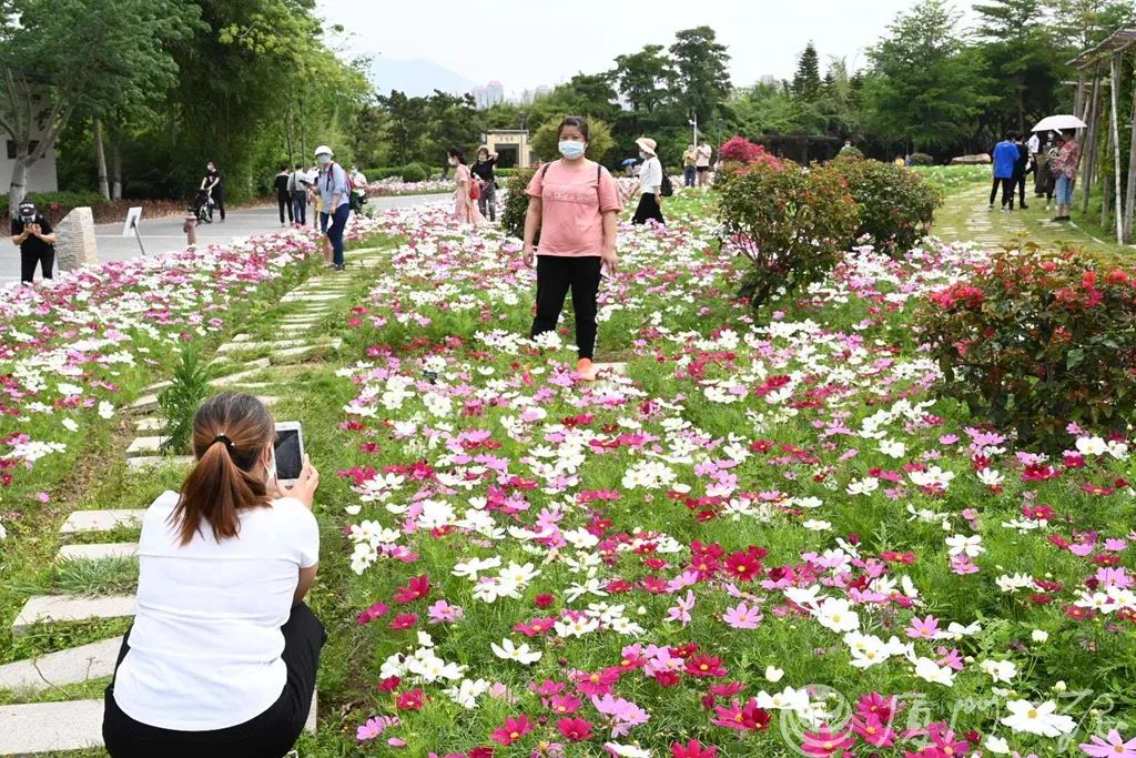 厦门轮渡码头游客可以购票吗 (厦门轮渡码头市民乘船免费吗现在)