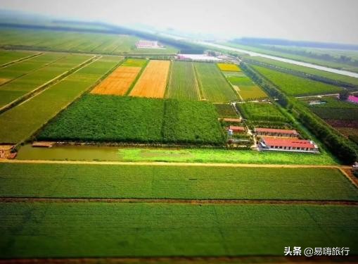 易嗨旅行带您天津宁河-芦台板桥休闲踏春游