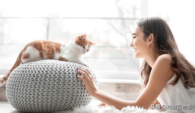 怀孕不建议养猫狗吗,怀孕不能养宠物原因及正确观念