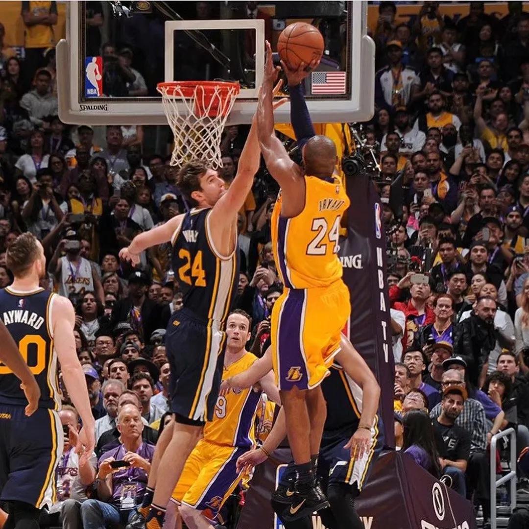 曼巴精神致敬科比视频,纪念科比曼巴精神