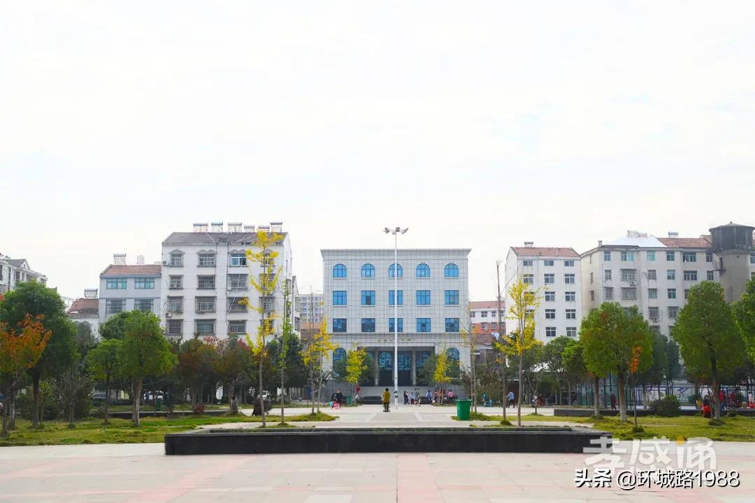 未来可期！向你展现不一样的毛陈