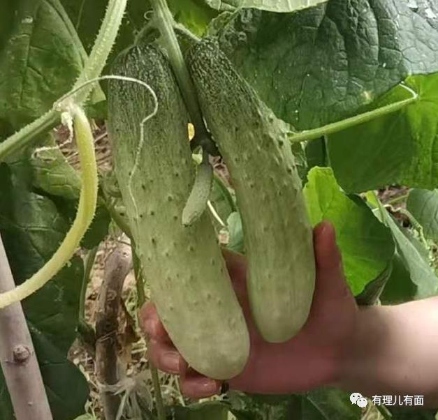 吴亦凡丑闻罗生门：“牙签”刺破了多少谎言？