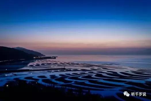 日本东京熊本熊,日本熊本游