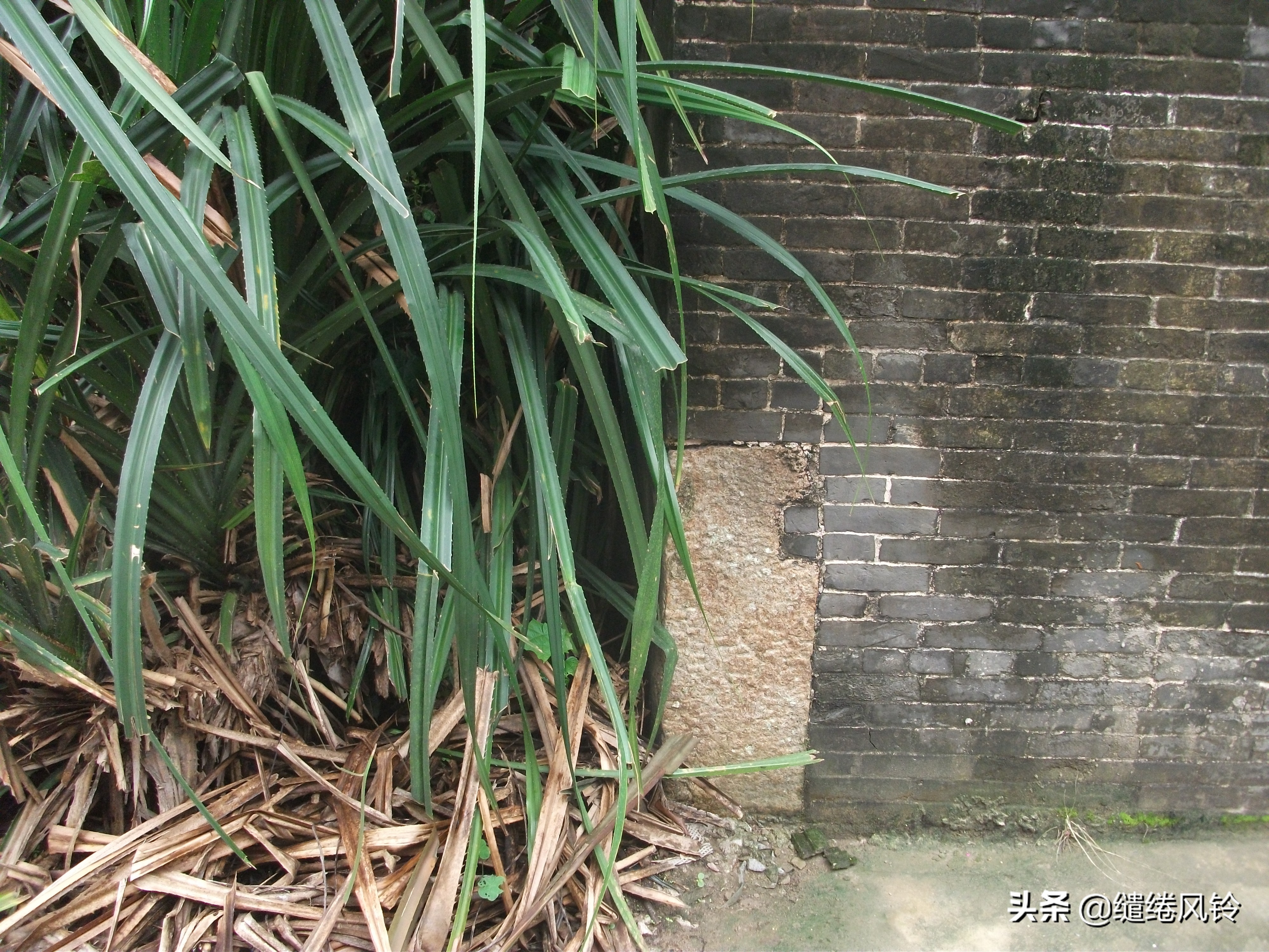 珠海北山村风景区,珠海的北山村