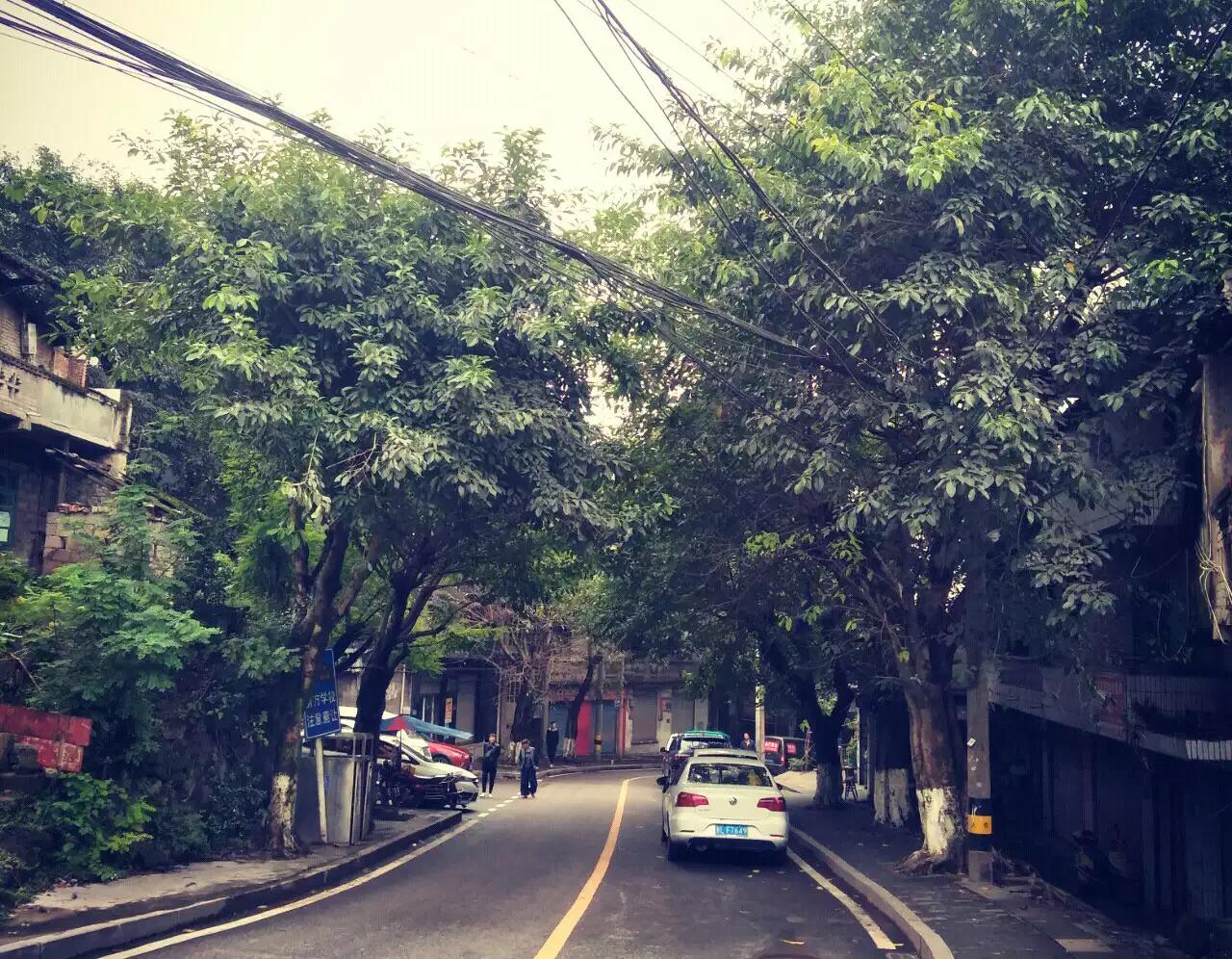 探秘杜泽老街,老码头鱼嘴