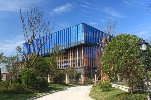 重庆小学费用到底多少钱,重庆的小学凭什么这么贵