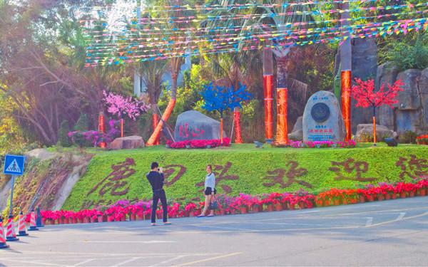 重庆到三亚怎么去最便宜,重庆到三亚途经哪些旅游城市