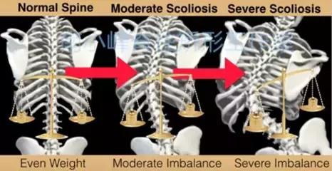 陆氏九龙正骨全套完整视频,陆氏正骨