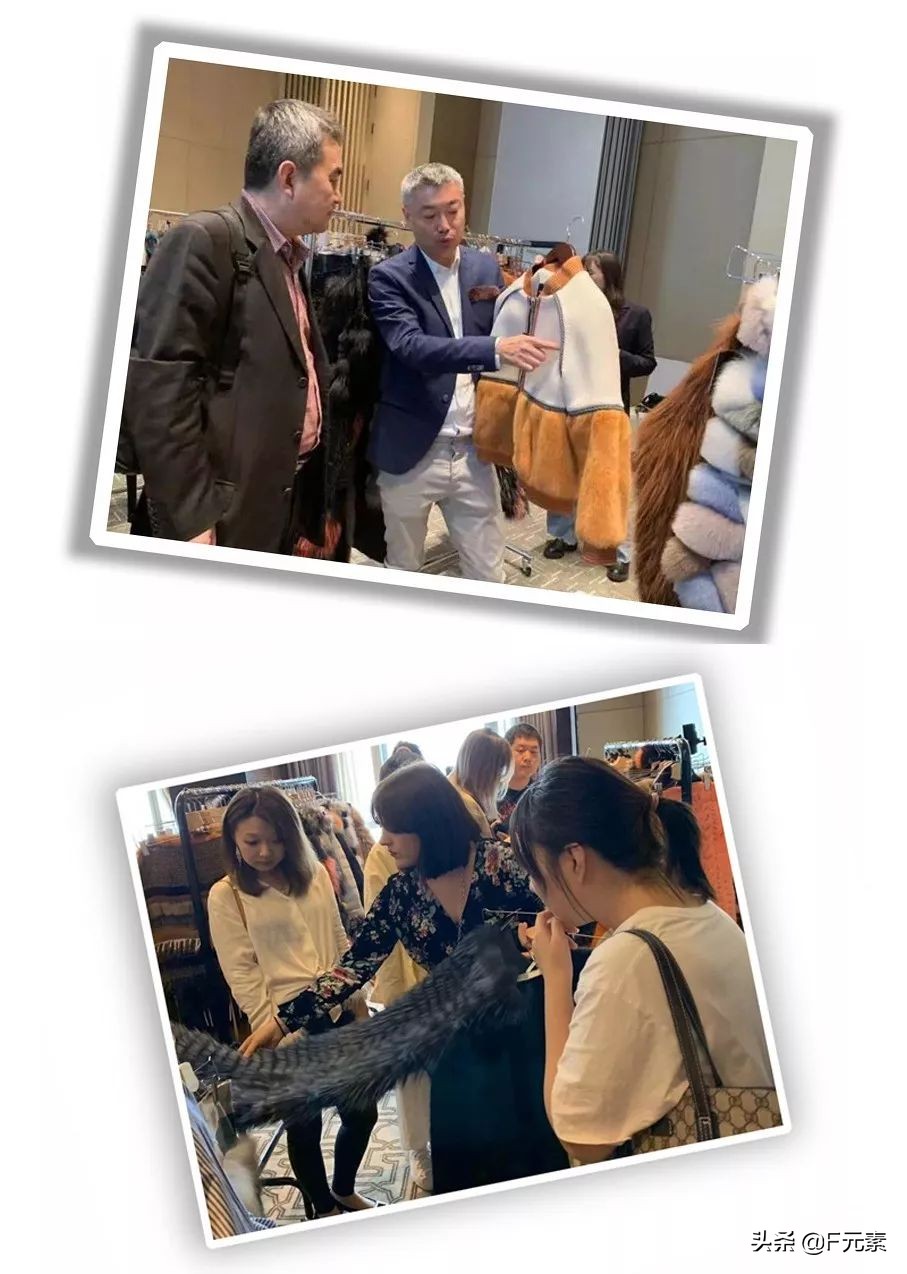 世家皮草,世家皮草再启航