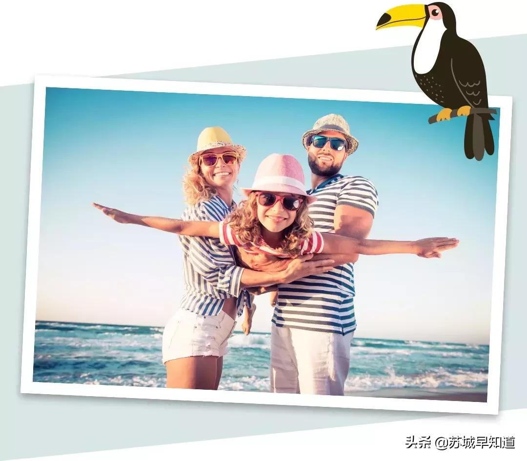 toryburch天猫五折,toryburchfleming雾霾蓝