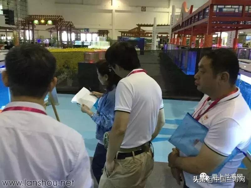 世界金鱼大赛在福州举行,2019中国世界金鱼大赛