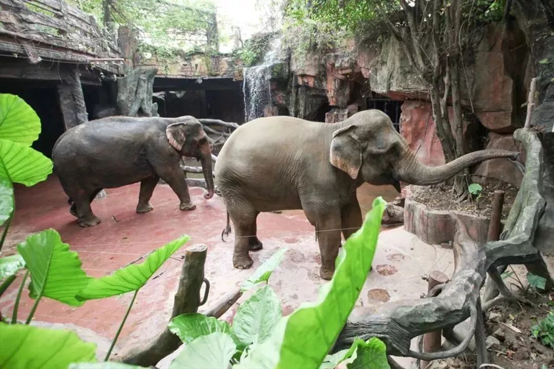 中秋国庆仅138元，两人同行玩转5A长鹿旅游休博园+童话动物王国