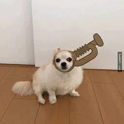 超全眼型大解析!金鱼眼,死鱼眼,下垂眼终于有救了!