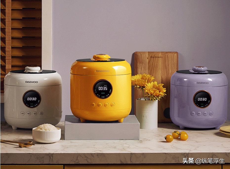 大宇电压力锅焖饭使用过程 (大宇电炖锅焖饭)