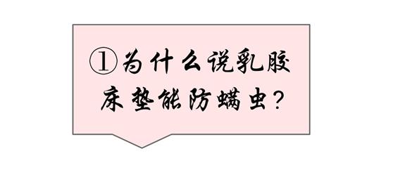 不用去泰国，原来真正好的乳胶就在这儿