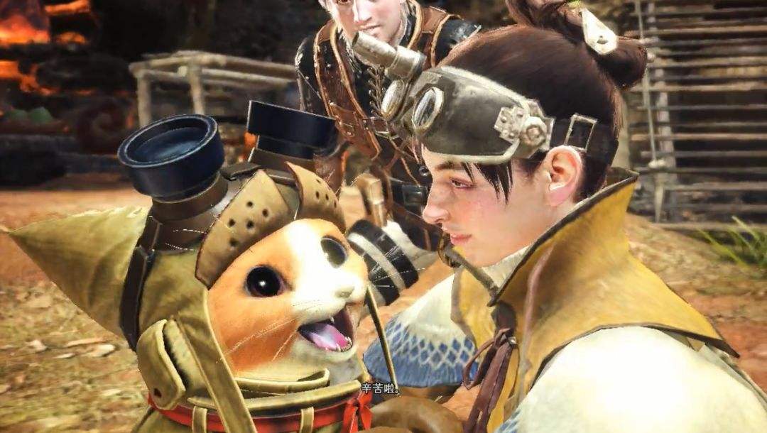 可以养宠物也可以打宠物的游戏,养宠物玩的游戏