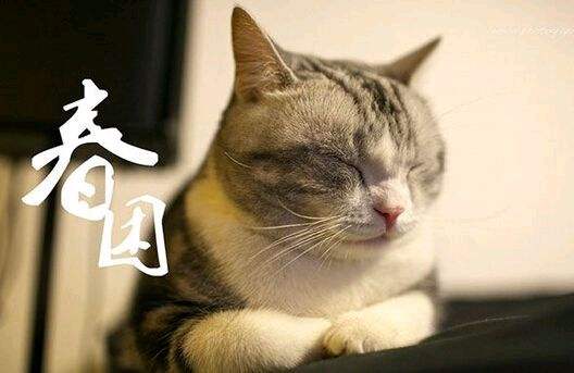 这些春季高发病强势来袭，你知道几个？