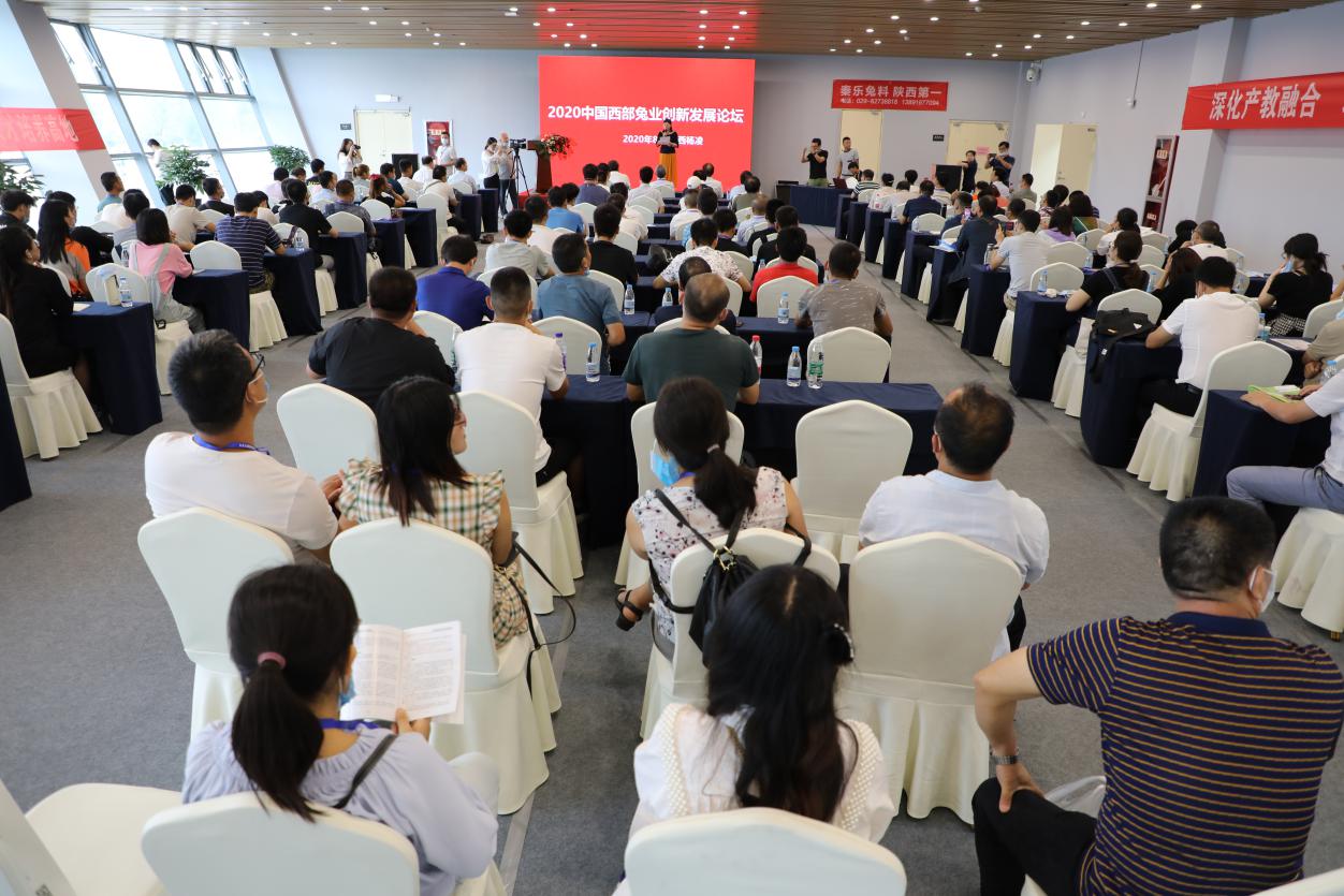 兔业养殖创业,兔业创业