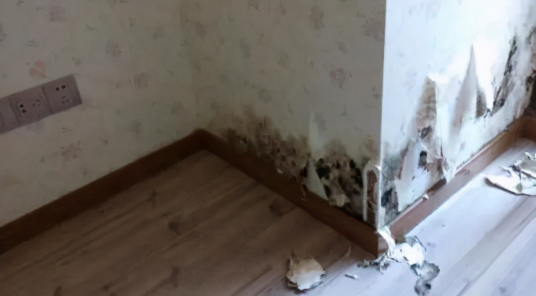 租房出现房屋漏水应该由谁负责,房屋漏水开发商几年之内负责维修