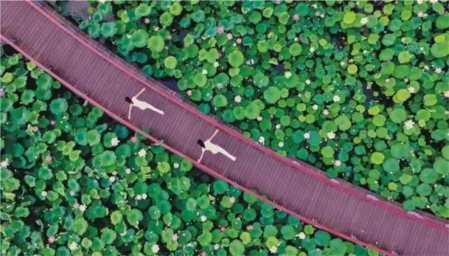 遂宁70年,四川遂宁70周岁补贴