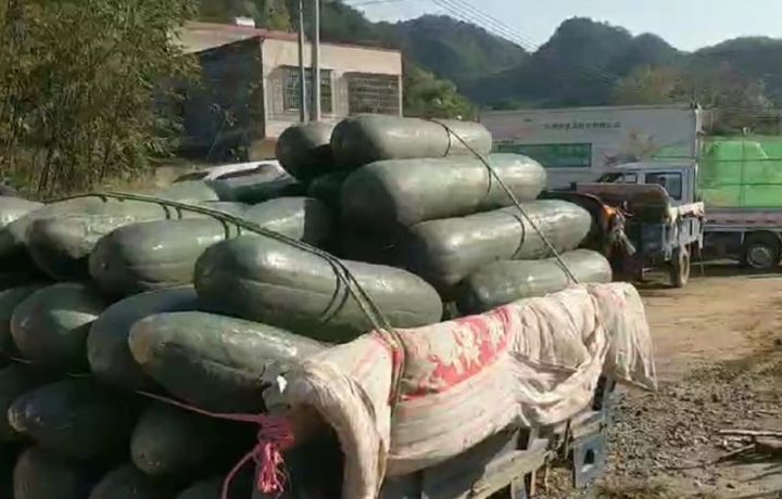 只要机器热起来,就有希望!