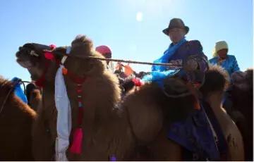 在内蒙古家里没几匹马和骆驼都不能愉快地玩耍了！