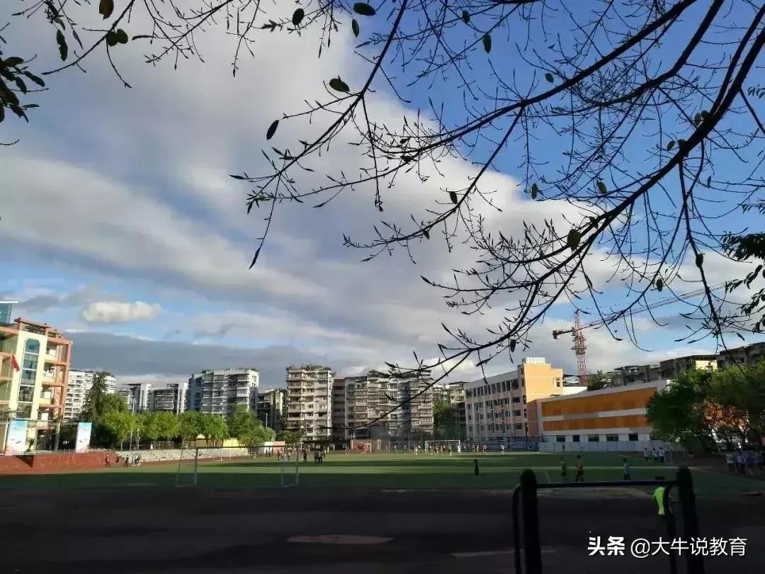 重庆南坪中学艺体特长生,重庆初升高哪些学校招艺体生