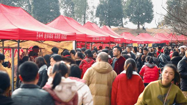 成都市秀丽东方,成都秀丽东方还在开放吗