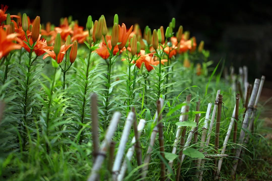 在济南花式避暑，一见“清”心！只需一瞥，便足以把酷夏原谅…