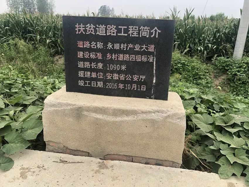 安徽乡村振兴重点帮扶县名单,乡村振兴省重点帮扶村