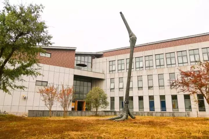 全武汉最会作妖的大学