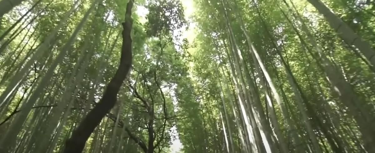 世界上10大神奇的地方,世界上神奇地方