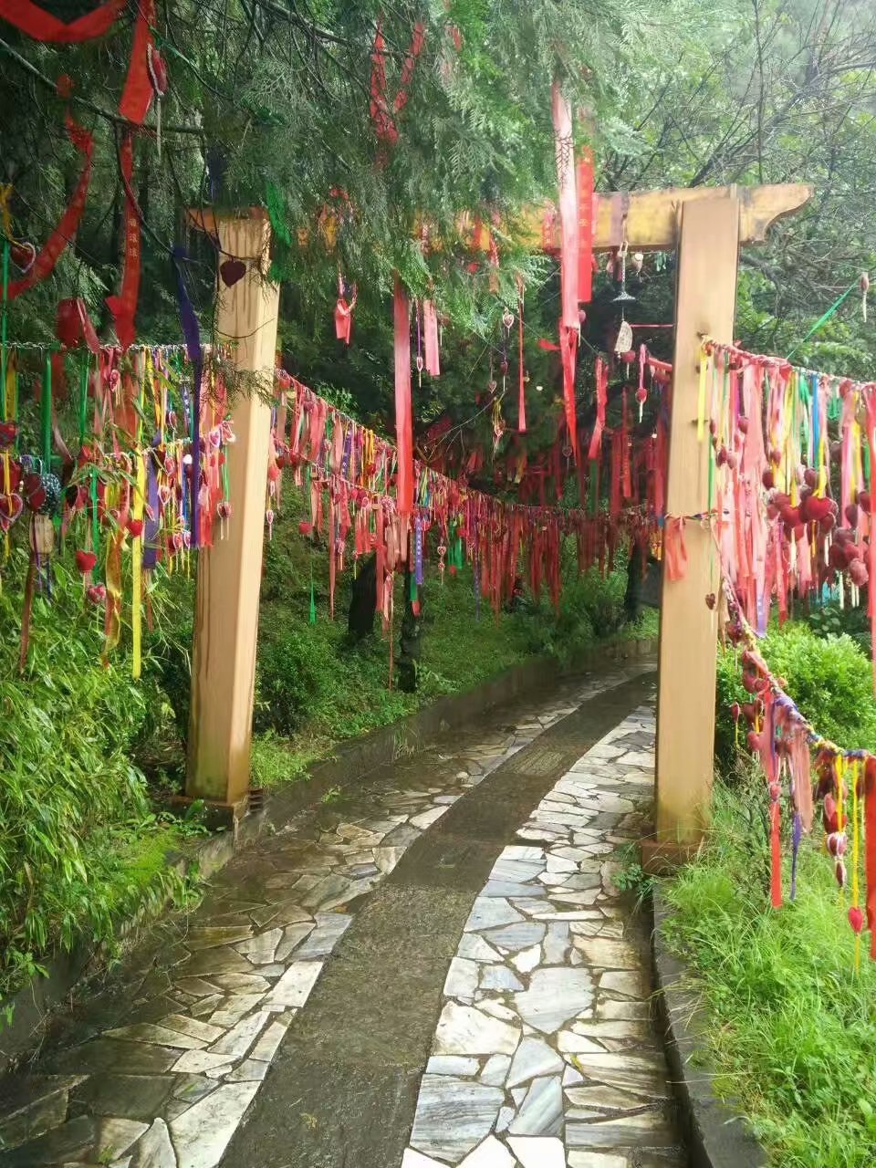 云南贵州之旅,云南蝴蝶泉之游