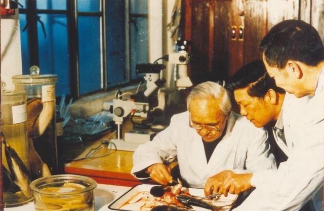 鱼类的繁殖技术,人工繁殖鱼最新技术