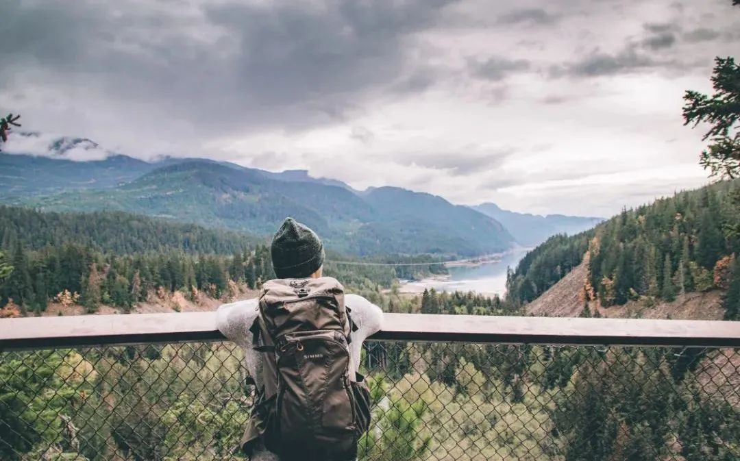 人生一半是执着一半是释怀,人生一半看淡一半释怀