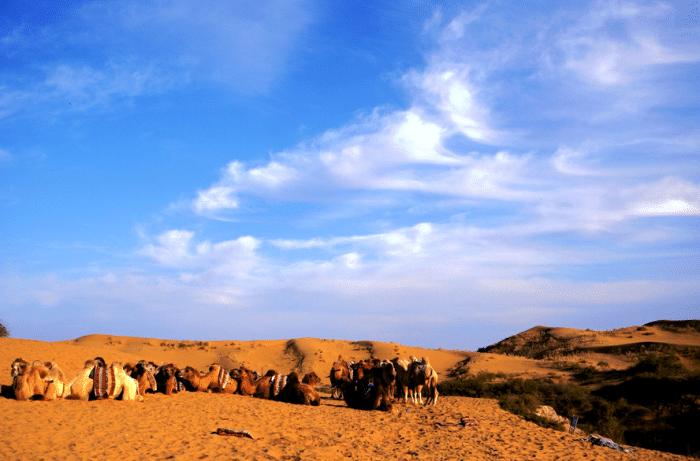 库布齐沙漠恩格贝生态园,库布齐和恩格贝
